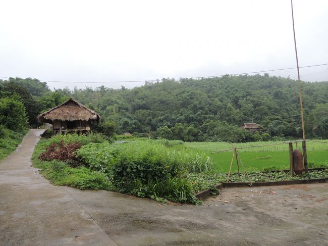 特に何があるでもなく、のーんびり(´ω｀)♪