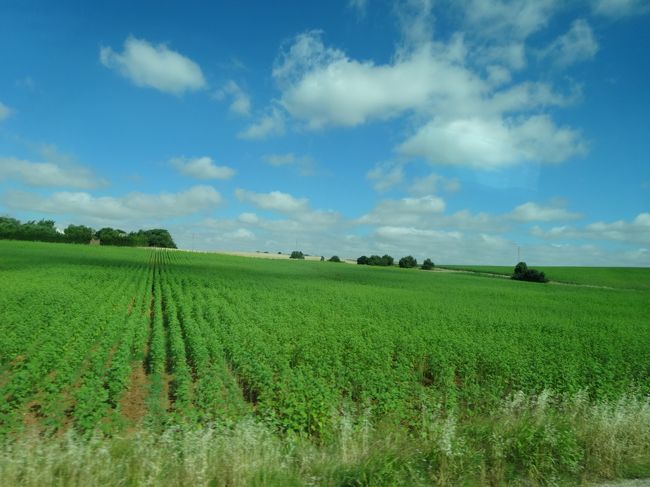 車窓：のどかー(^^)。夏のアルコス周辺の景色はどこか北海道と似ている気がします。