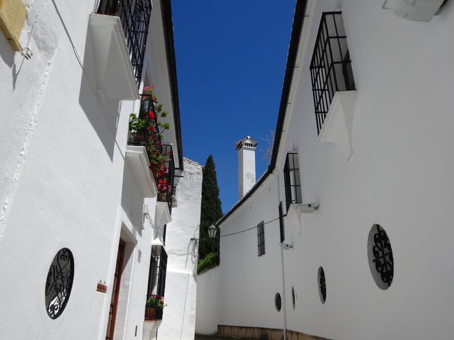 ビエホ橋を目指して歩きました。