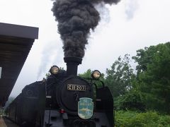 大沼公園駅で降りてSLを見送ります

いい音させて出発です

当然ですが出発する時はかなりゆっくり

頑張っている感じがなんだか可愛いです