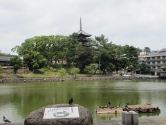 そして、同じ場所から見える、猿沢池と興福寺の五重塔。

もう少し右側から撮った方がきれいに撮れるはずなんですけど、時間の都合で、手近な場所から(^^ゞ

やけに鳩が多いのが気になりました。。