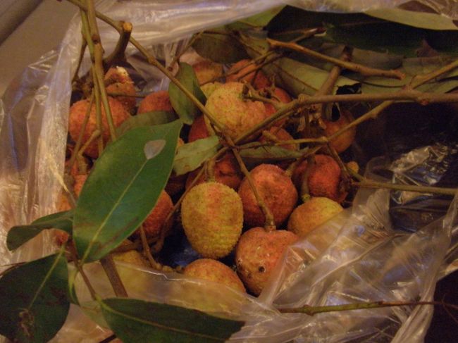 マンゴスチンはまだ若くて実がほとんどない！<br />本当に残念...<br /><br />でも、旬のライチがとってもすばらしい！<br />ライチってこんなにおいしいんだ〜とうなるほどの香りと味！<br />こんなライチは食べた事ない！