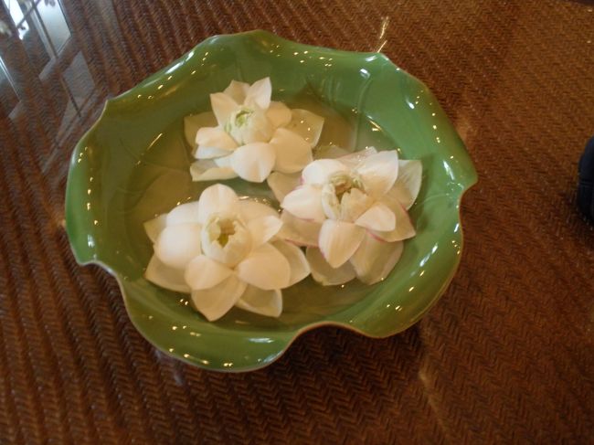 ハスの花もいたるところに。