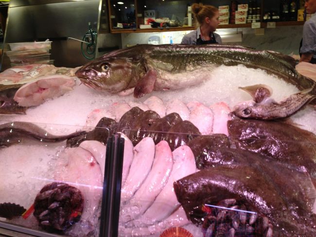 ぬめぬめ、、なんと魚かな？