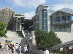 美ら海水族館