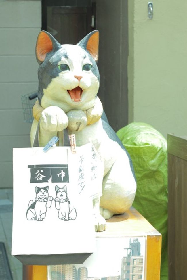 夏の谷中銀座を歩く 眠り猫ばかり 日暮里 西日暮里 東京 の旅行記 ブログ By Kittyさん フォートラベル 夏の谷中銀座を歩く 眠り猫ばかり 日暮里 西日暮里 東京 の旅行記 ブログ By Kittyさん フォートラベル