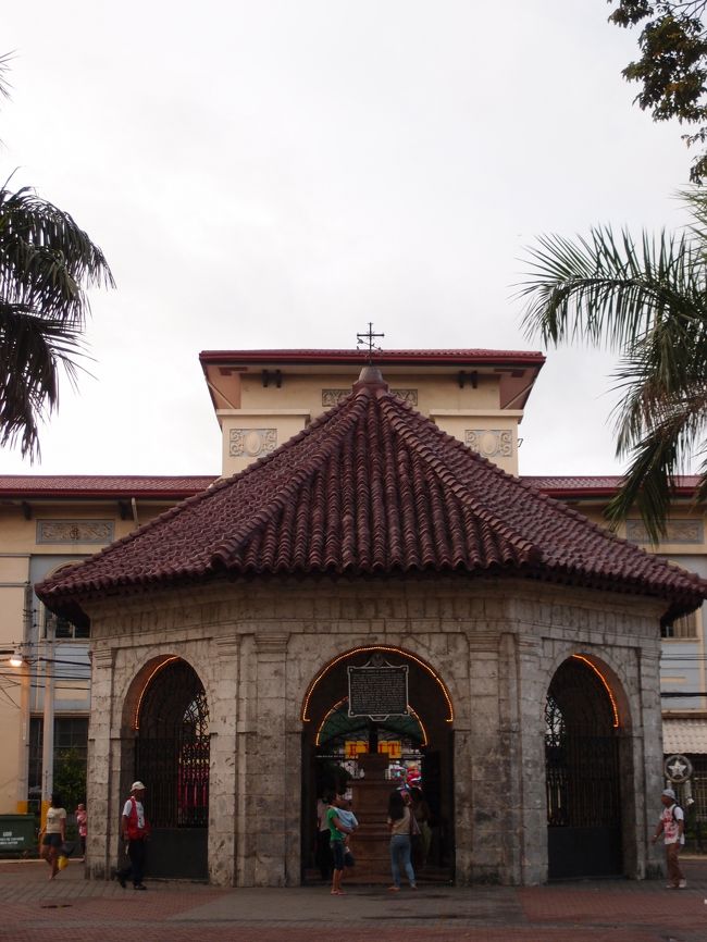 マゼランクロス