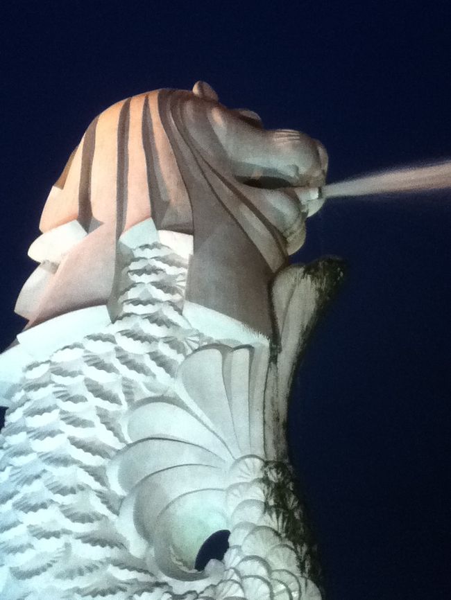 帰りに、夜のマーライオン！<br />下から見ると、濡れます・・・<br />マーライオンの体には、無数の苔・・・<br />掃除しましょう。