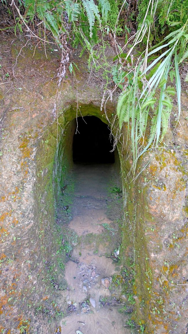 ちょっと中に入る気はしなかった