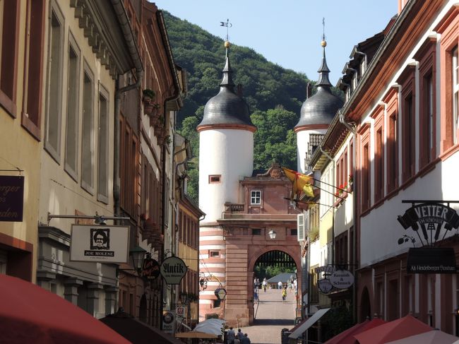 ハイデルベルク城のあとは、カールテオドール橋を見に行きました。