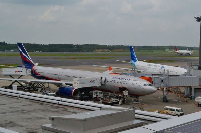 飛行機って見ているだけでワクワクするワン。