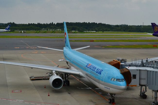 大韓航空のコリアンブルーの機体。