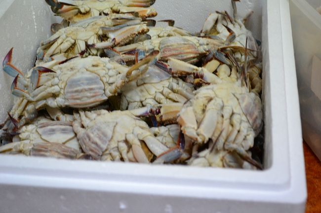 カニがいっぱいいました。