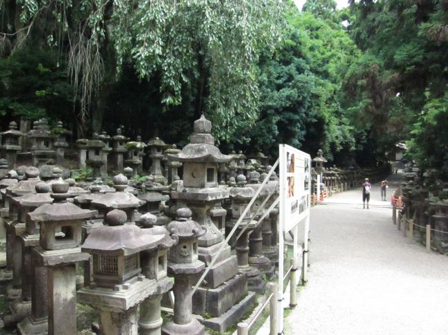 門の脇には、たくさんの灯篭がありました。