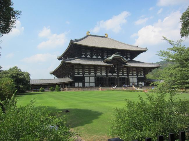 大仏殿。<br />修学旅行でも来ませんでした。