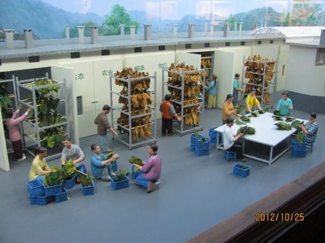 <br />煙草の葉の乾燥。ジオラマ。<br /><br />