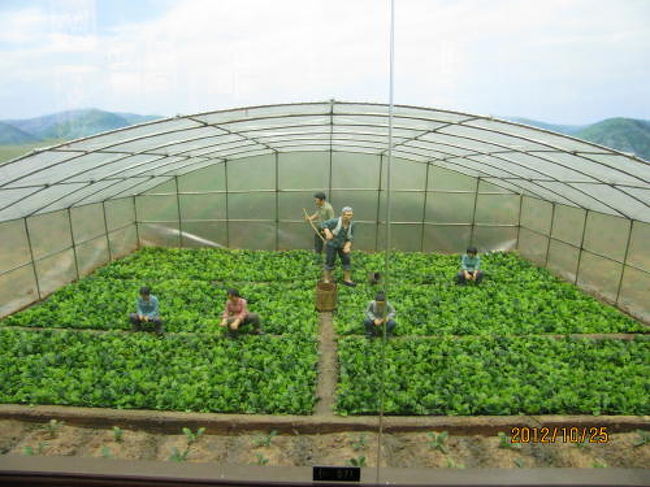 煙草の葉の栽培、ジオラマ。<br /><br />