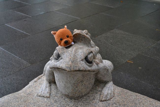 かえるさんがいたワン。