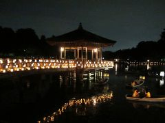 3年前にも浮見堂を見に来たけど、ルートの都合で、反対側の岸からしか見られなかったので、この橋の上から眺めるのは初めて！

想像以上に明るい…。

橋の欄干にかなりの数のろうそくが灯されていました。

お堂自体もライトアップされてるので余計に明るく感じるのかも。