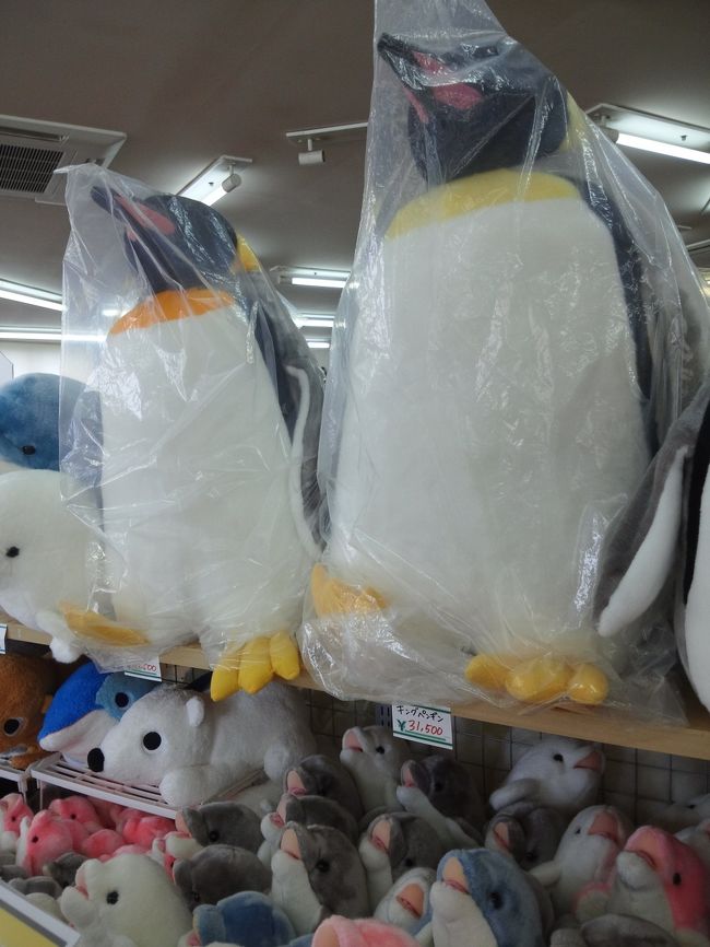 大幅リニューアル さらにパワーアップ １年ぶりに堪能しました 越前松島水族館 今年もえかったな こんぺいとうのぬいぐるみ が欲しい 東尋坊 越前松島 三国 福井県 の旅行記 ブログ By ねこにゃんさん フォートラベル