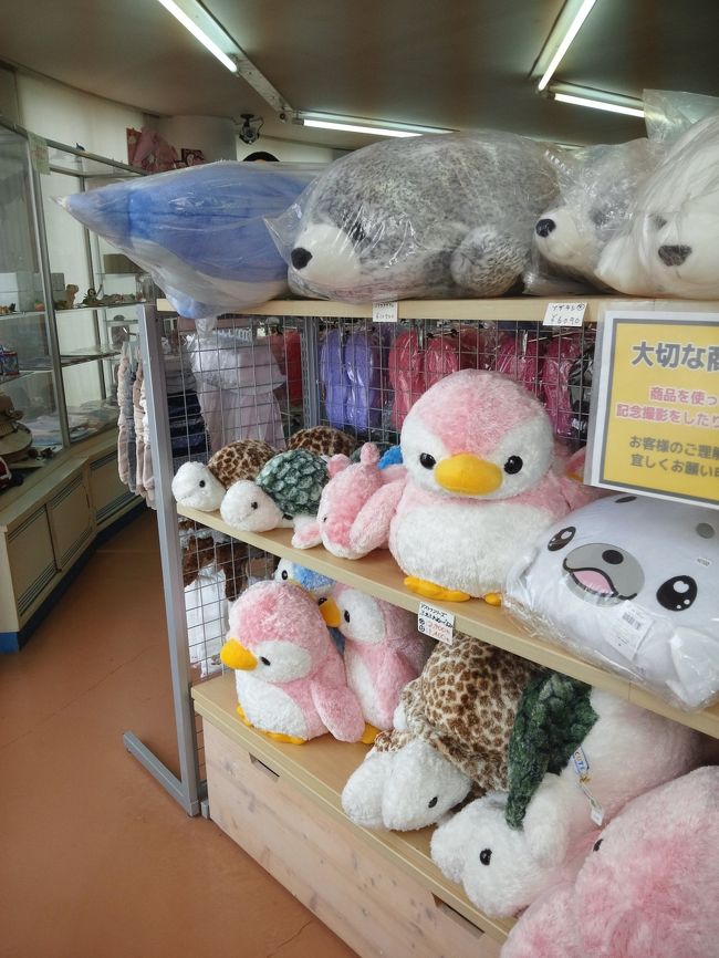 大幅リニューアル さらにパワーアップ 1年ぶりに堪能しました 越前松島水族館 今年もえかったな こんぺいとうのぬいぐるみが欲しい 東尋坊 越前松島 三国 福井県 の旅行記 ブログ By ねこにゃんさん フォートラベル 大幅リニューアル さらにパワーアップ 1年ぶりに堪能しました 越前松島水族館 今年もえかったな こんぺいとうのぬいぐるみが欲しい 東尋坊 越前松島 三国 福井県 の旅行記 ブログ By ねこにゃんさん フォートラベル
