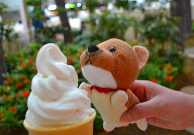 そして、マクドナルドでソフトクリームも買う。<br />500w