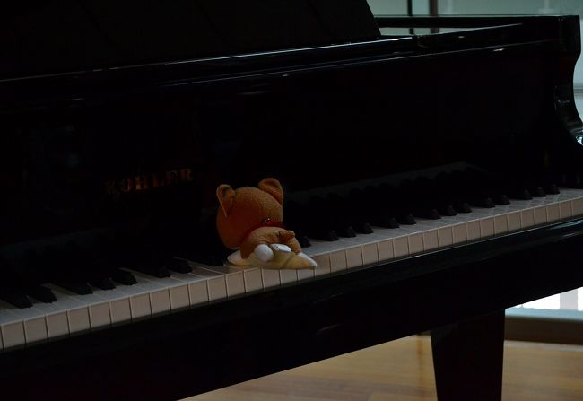 韓国産のピアノがあったので、弾いてみたワン！