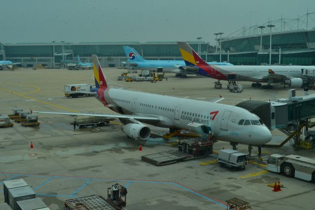 アシアナ航空で帰ります。<br /><br />今回は、往復とも3−3のシートでした。