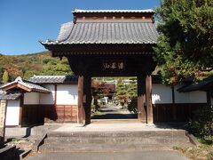 東光寺。甲斐百八霊場第五十七番。甲府五山の一つ。
能成寺から1km、車で5分。駐車場有り。
境内はやや広い。拝観目安は20分。庭の造り方が面白い。
御朱印は庭園拝観受付でお願いする。
