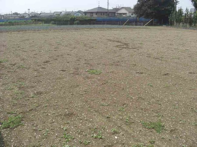 我が家が遺跡の中にあったとは』市川(千葉県)の旅行記・ブログ by pedaruさん【フォートラベル】