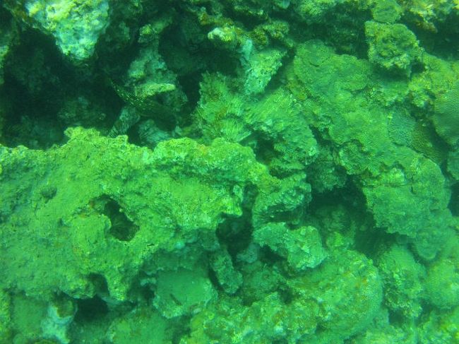 二本目はCabomexというスポットです