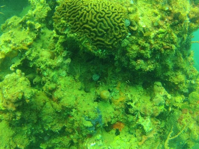 期待したよりも水温が低く（26度以下）ちょっと寒いです