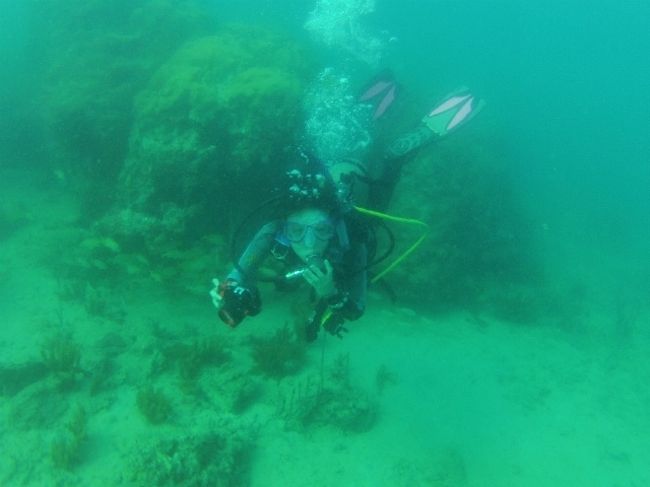 ayaさんが何かを狙って写真を撮ろうとしています。