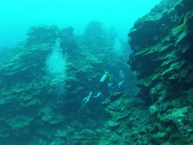 翌日二日目の最初はCamaronerosというスポットです。<br />平均で12ｍ、最深で17.5m、約45分間でした