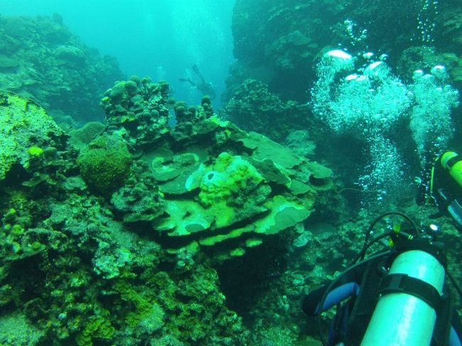 平均で12ｍぐらい最深で１５ｍぐらいでした。