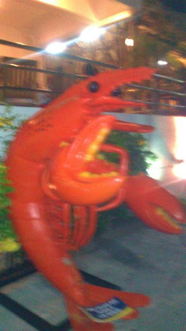 このエビの看板が目印！