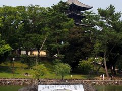 興福寺五重塔と池の柳が水面に映える猿沢池の景観は、奈良公園の代表的な名勝地です。

ここは、「聖地」とも言います。
うん、分かる人には分かる。