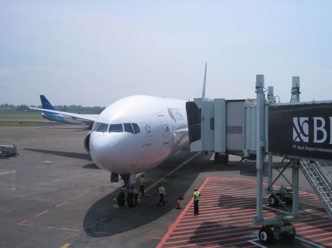 バンコクから到着したばかりの便。<br />30分ほどでまたバンコクへ折り返し運航。<br />タイ航空のジャカルタ→バンコク便はお昼出発なので楽です。