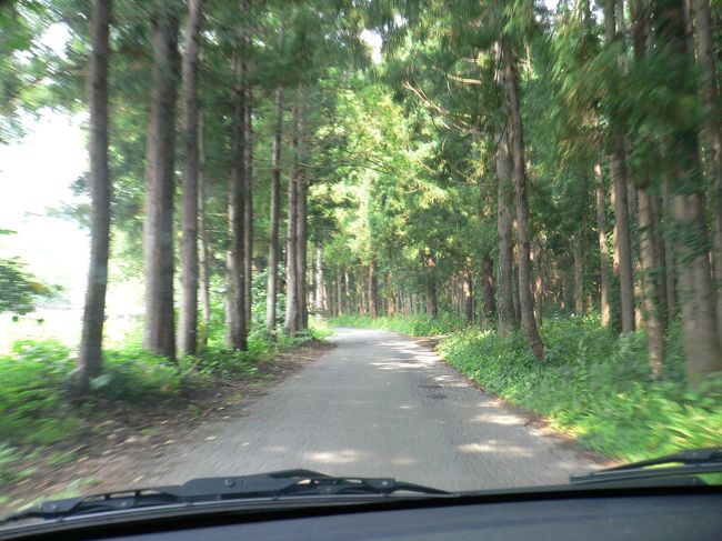 ちょっと脇に入ると気持ちの良い田舎道です