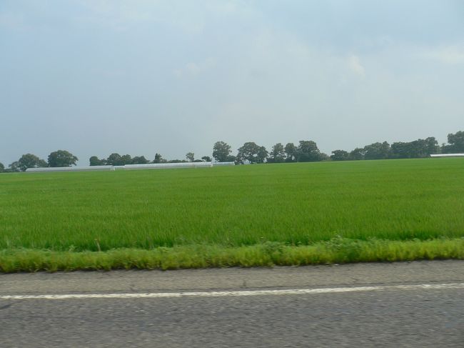 会津はやっぱり米どころですねえ