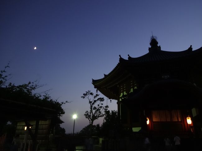 南円堂の左上に、お月様が出ていました！