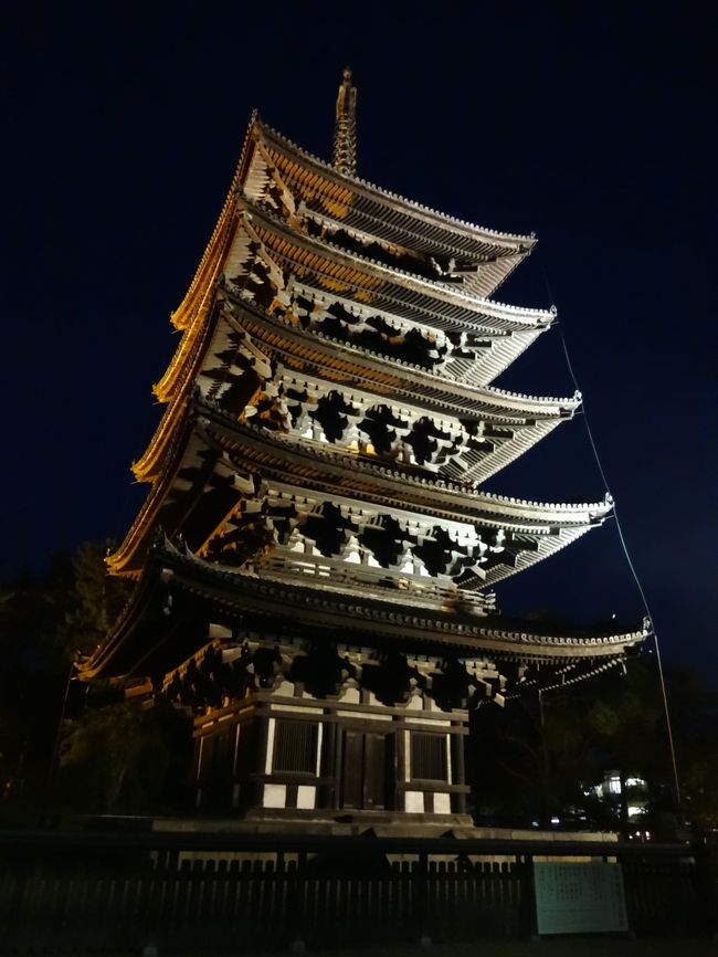 大好きな五重塔は、ライトアップされています♪