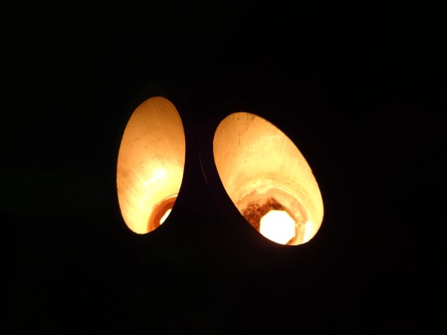 上から写すと、漫画の目みたいヽ(^o^)丿