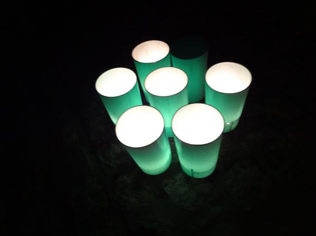 緑のカップの灯籠♪
