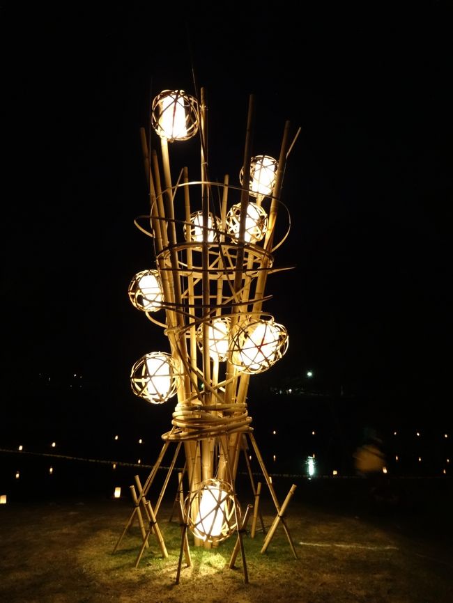 灯籠の木♪<br /><br />勝手に命名！