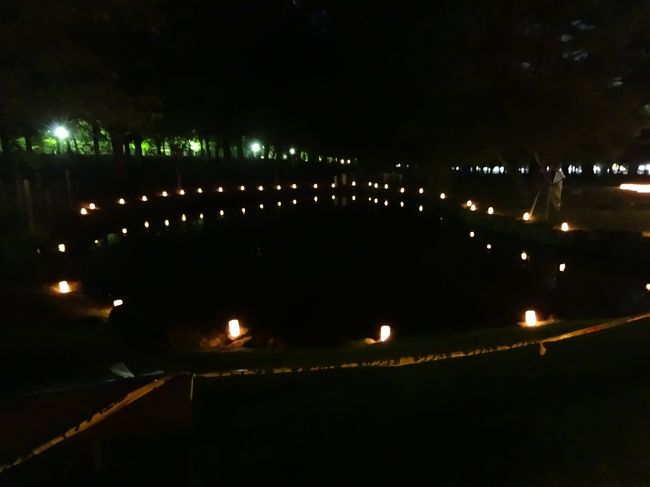 池に映った灯籠が美しい(*^_^*)