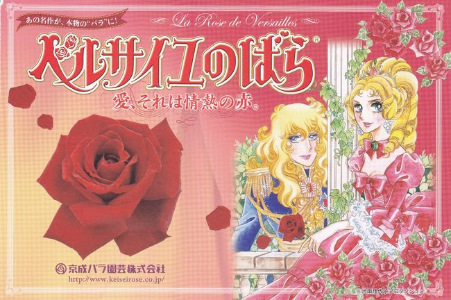 新品】フランツコレクションヴェルサイユガーデンローズセット