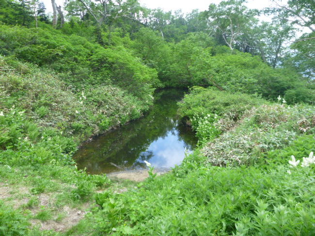 ギリギリ山ガ ル 明神岳の池は本当にひょうたんだ の巻き 上高地 長野県 の旅行記 ブログ By モモタさん フォートラベル ギリギリ山ガ ル 明神岳の池は本当にひょうたんだ の巻き 上高地 長野県 の旅行記 ブログ By モモタさん フォートラベル