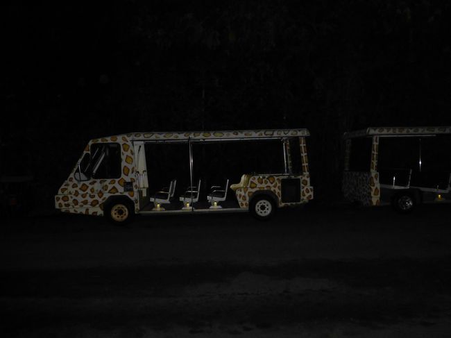 この車に乗車していざ出発。<br /><br />日本では見かけない珍しい動物もいてなかなか楽しかったです。<br /><br />ちなみに、写真はフラッシュ厳禁なので、ほとんどまともに撮れませんでした。。