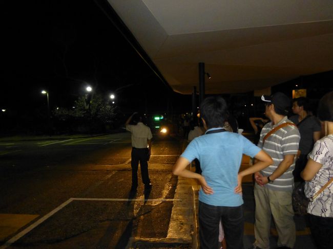 ２２時過ぎまで園内に滞在した後、タクシーでホテルへ。<br /><br />個人的な感想ですが、それなりに楽しめはしたものの、やはり動物が見えづらいこともあり、昼間の動物園の方が良いかもと思いました。<br /><br />ちなみに、帰りのタクシー乗り場は大混雑で、乗車するまで３０分くらいかかりました。<br /><br />タクシーは２０分ちょっとでホテルへ到着。<br /><br />たしか２０ドルちょっとだっと思います。